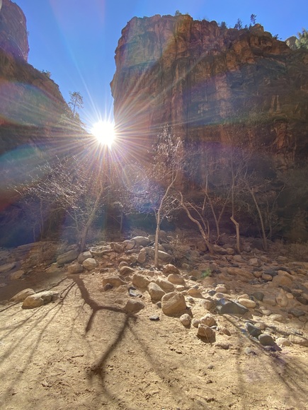 Meet your Posher, Johnny - Picture 13 of 16